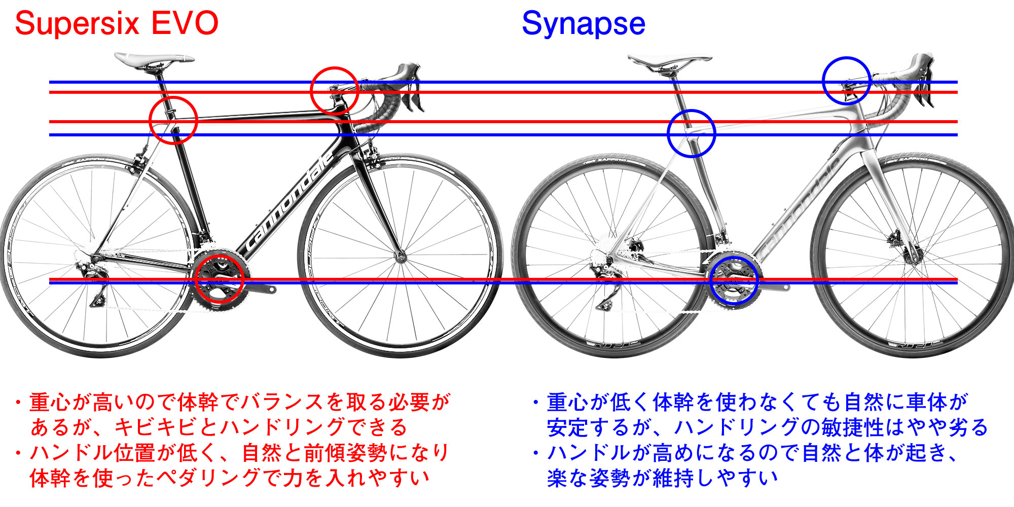 デブがダイエットのために選ぶべきロードバイクのおすすめポイントについて考えてみる それでダイエットしてるつもり デブがダイエットのために選ぶべきロードバイクのおすすめポイントについて考えてみる それでダイエットしてるつもり